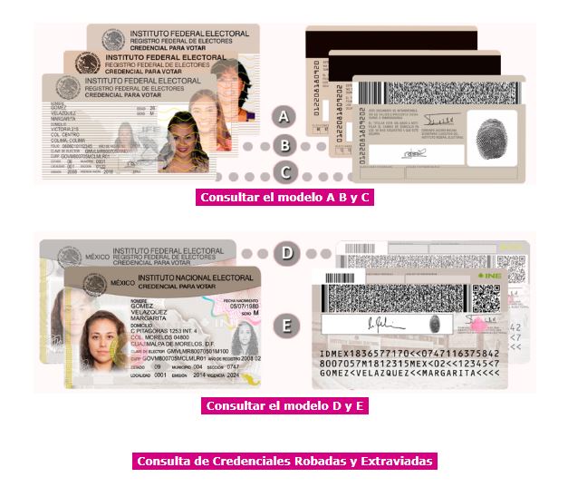 Modelo-credencial-1